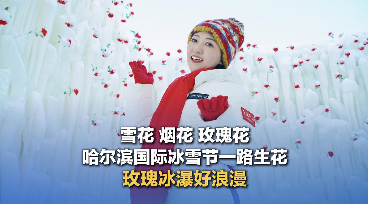 相关图片
