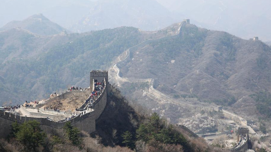 相关图片