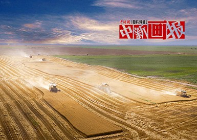 相关图片