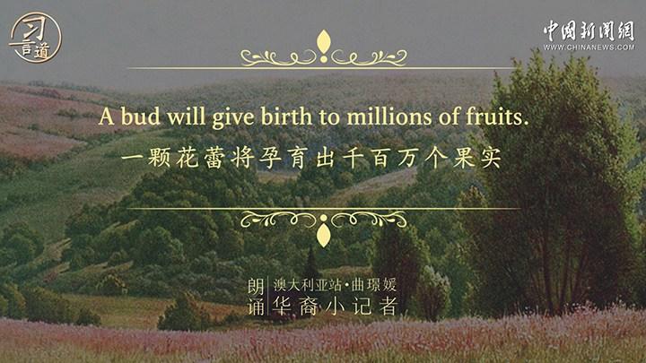 相关图片