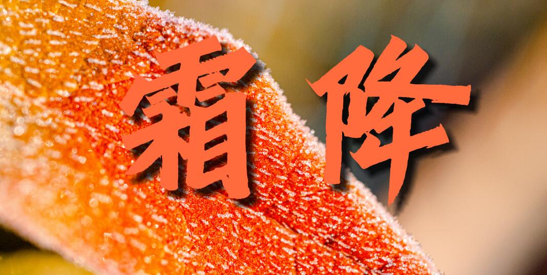 相关图片
