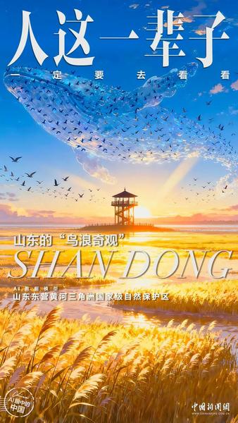 相关图片
