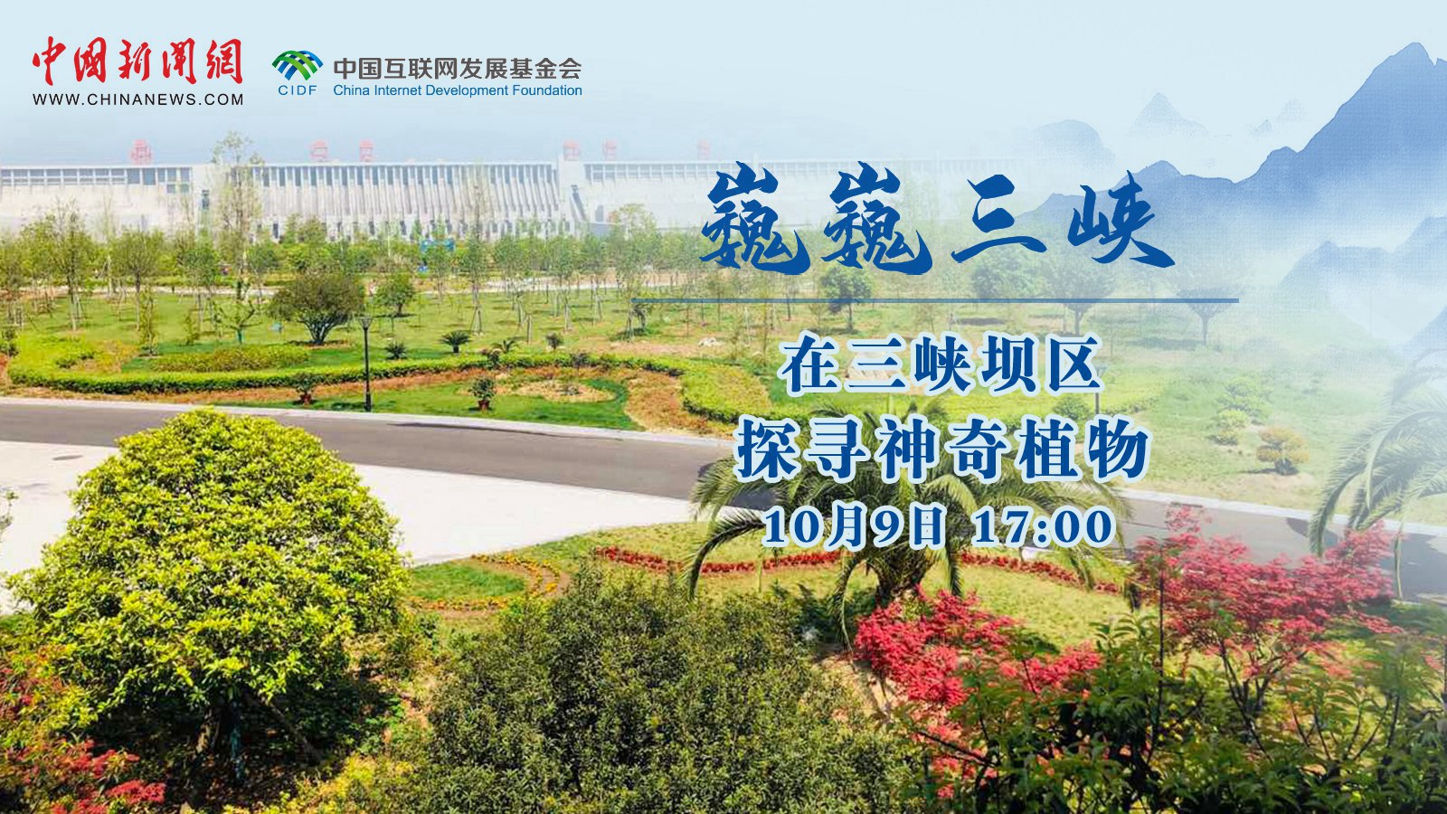 相关图片